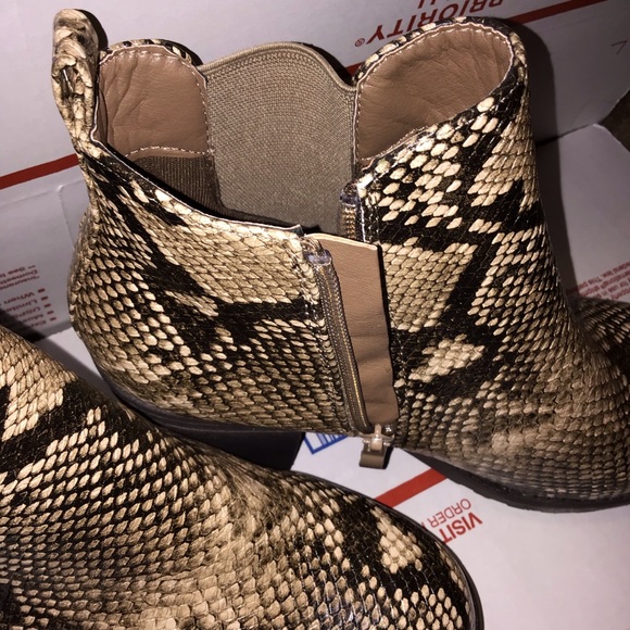 Snake - Picture 3 of 6